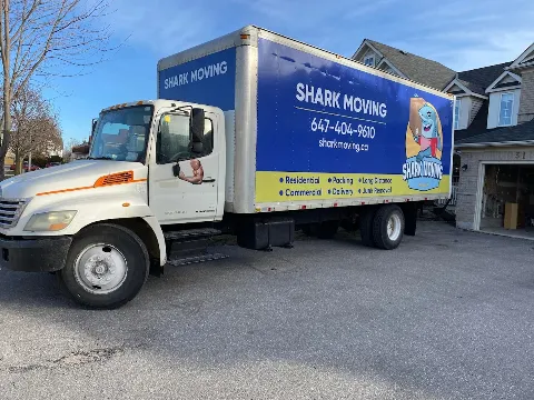 Shark Moving in Barrie