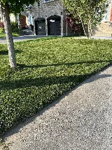 Malik's Turf photo 8