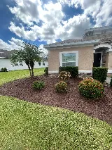 Newscape Lawn care and Landscaping LLC photo 3