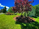 Black Belt Landscaping photo 4