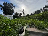 Mueller Landscape Inc photo 7