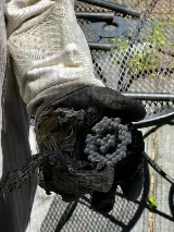 Vanquish Pest Management, Pittsburgh PA photo 5