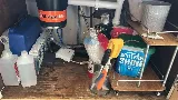 Rainbow Pest Experts photo 5