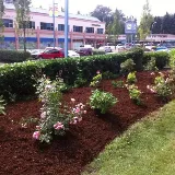 Get Growing Landscaping Ltd. photo 2