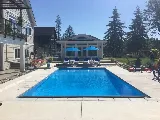 Taylor Made Pools photo 2