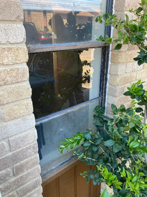 South Texas Glass Services LLC photo 1