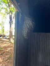 United Exterminators photo 8