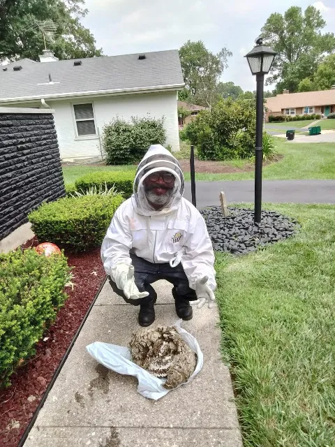 A-L-S Pest Control photo 1