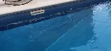 Merit Pools of Portland Inc photo 5