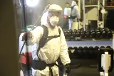 Remedy Pest Control photo 7