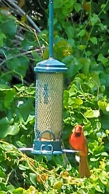 Moxie Pest Control photo 8