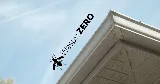 Bug Zero photo 8