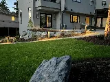 Bald Eagle - Landscaping Victoria photo 3