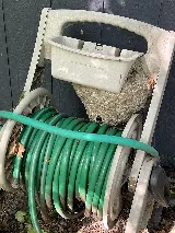 DTG Pest Control