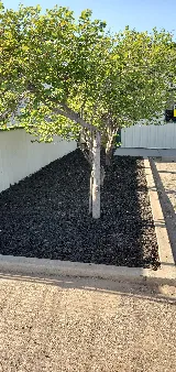Bennett Landscaping LLC photo 8