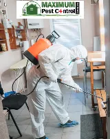 Maximum Pest Control Services. photo 8