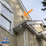 Anchor Pest Control photo 3