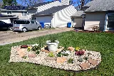 Dr. Dan's Landscaping & Architectural Design photo 5