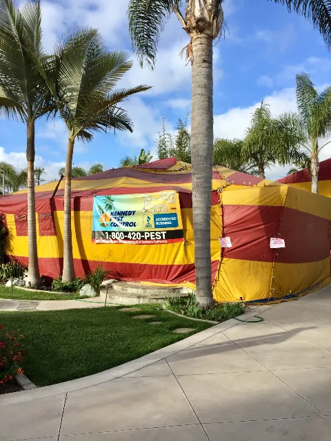 Kennedy Pest Control, Inc. photo 1