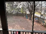 Grantlanta Lawn photo 5