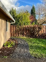 Jack’s Garden Rescue photo 5