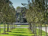 Village Builders at Westhaven by Lennar photo 6