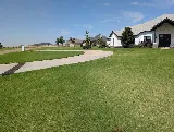 Lush Lawn and Landscaping photo 3