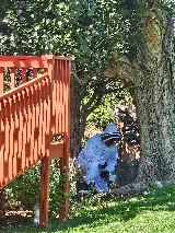 Sam's Pest Control photo 5