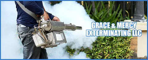 Grace & Mercy Exterminating LLC photo 1