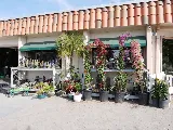 Green Landscape Nursery