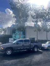 Brooks Pest Control photo 7