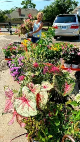 Sunshine's Garden Design, LLC photo 7