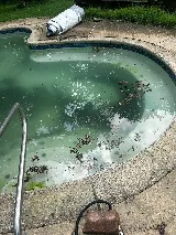 Richards Pool Care photo 2