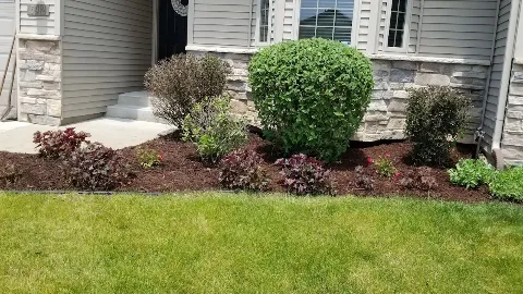 Natural landscaping photo 1