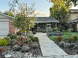 Landscape Therapist Inc. photo 3