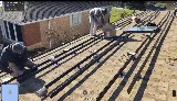 Ailey Solar photo 4