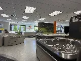 Swimming Pool Services photo 7