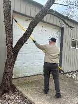 Diamond Pest Solutions photo 7