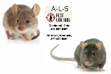 A-L-S Pest Control photo 8