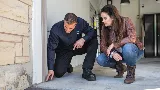 Abell Pest Control photo 7