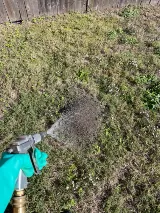 Bulwark Exterminating photo 6