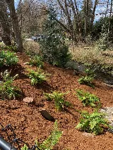 Seymour Lawn & Garden Landscaping photo 3