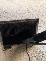 Legacy Pest Management photo 5