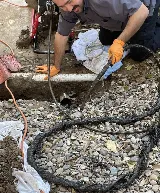 1st Fresno Plumbing photo 6