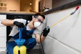 Portland Shield Pest Control photo 5