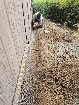 Sono-Marin Pest