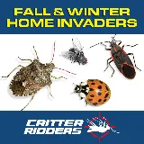 Critter Ridders photo 8