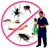 M&H Pest Control Detroit photo 2