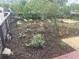 Artscape Gardens photo 7