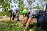 Quality Cut Lawn Care photo 7